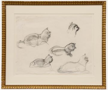 Mid 20th Century Graphite Drawing - Cat Studies