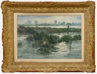 Josef Steib - Framed Mid 20th Century Oil, Wetland Landscape