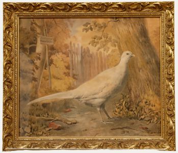 Pieter Gerardus Bernhard - 1843 Watercolour, Pheasant in Arendsdorp