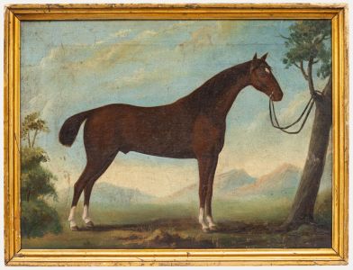 Provincial School 19th Century Oil - Portrait of a Chestnut Horse