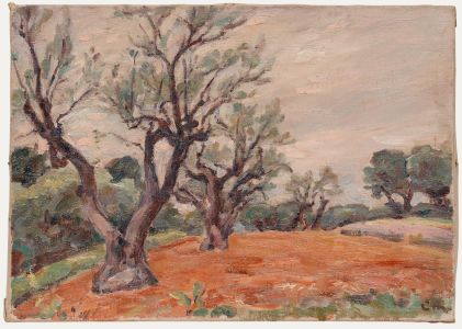 Louis Henri de Meuron - Early 20th Century Oil, Gnarled Olive trees
