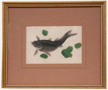 Chinese School 19th Century Watercolour - Grey Carp