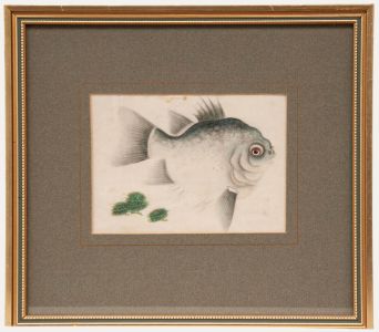 Chinese School 19th Century Watercolour - Ornamental Ryukin