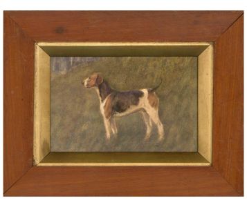 19th Century Watercolour - Beagle