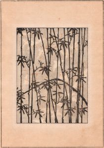 Japanese Woodblock 1898-1907, Bijisukai Design