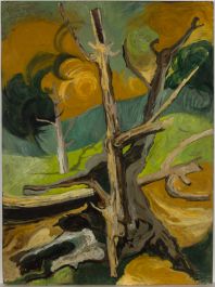 Mid 20th Century Oil - Woodland Scene