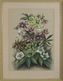 A.J. Claydon - Mid 20th Century Gouache, Purple Flowers