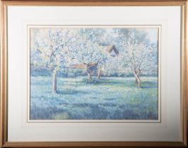 George Norman-Crosse (c.1871–1912) - Watercolour, View of an Orchard in Blossom