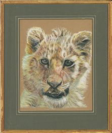 M. Coleman - 20th Century Pastel, Timmy the Lion Cub
