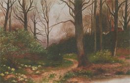 Early 20th Century Oil - Woodland in Springtime