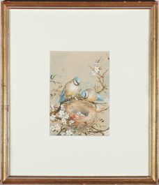 E. A. Rowlendson - Framed 19th Century Watercolour, Nesting Blue Tit