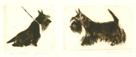 Irena Makoveeva (b.1954) - 1999 Etching, Scottish Terrier in Profile I