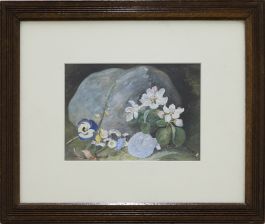 H. Hackotoun  - 1885 Watercolour, Pansy and Seashell