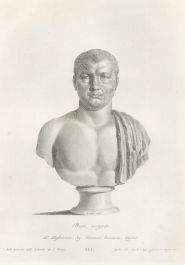 Zanetti's Ancient Statues - 18th Century Engraving, Bust of an Unknown Man