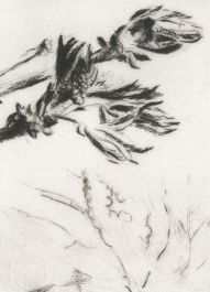 Contemporary Etching - Horse Chestnut