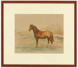 Framed 20th Century Watercolour - Portrait of Diamond