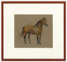 20th Century Watercolour - Exmoor Pony
