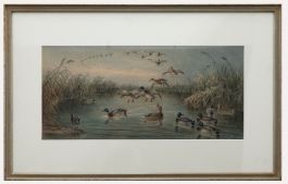 Edward Neale (1833-1904) - Framed 1884 Watercolour, Mallard at Kingsclear