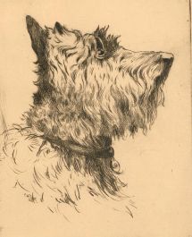 Herbert Cutner (1881-1969) - Mid 20th Century Etching, Portrait of Flossie