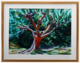 Paul Deacon (b.1953) - Contemporary Oil Bar Pastel, A Grand Old Olive Tree