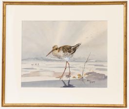 Brian Needham - Framed 20th Century Watercolour, Black-tailed Godwit