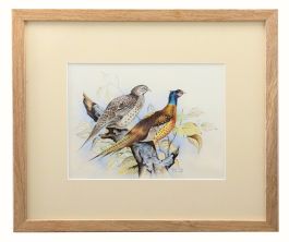 Bryan Cox - Framed 20th Century Watercolour, Pheasants Roosting in a Tree