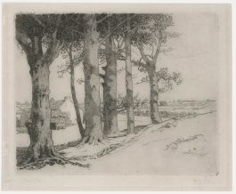 Frank Dean (1865-1947) - Early 20th Century Etching, Birch Trees