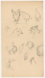 Attrib. John Cluysenaar (1899-1986) - Graphite Drawing, Study of Hens