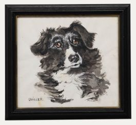 M.A.W - Framed 20th Century Watercolour, Quiller the Border Collie