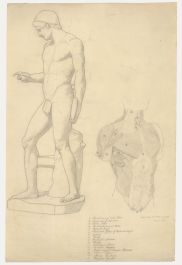 William Henry Ladd - Early 20th Century Graphite Drawing, Muscles of the Torso