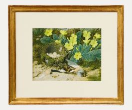 William Cruikshank (1848-1922) - Watercolour, The Blue Tit's Nest