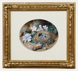 William Cruikshank (1848-1922) - Framed Watercolour, Bird's Nest Amongst Blossom