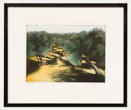 Morna Rhys - Contemporary Etching, Olive Groves, Cyprus