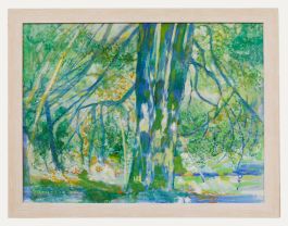 Mary Chugg (1935-2024) - Framed Contemporary Oil, Sunlight & Trees
