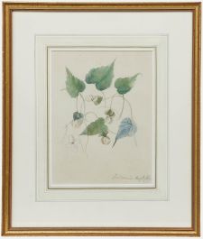 Mid 19th Century Watercolour - Dalhousie II