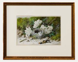 William Cruikshank (1848-1922) - Framed Watercolour, Goldfinch Nest