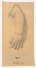 Edward Ridley (1883-1946) - Graphite Drawing, Study of an Infant's Arm