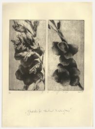 Hartmut Frielinghaus (1937-1955) - 1977 Etching, Gladioli