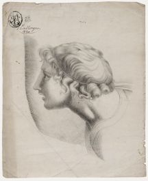 After Raphael - 1830 Graphite Drawing, Head Study of a Young Man