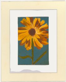 Ben Carrivick - Contemporary Oil, Orange Gazania
