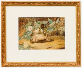 Emma Walter (1833-1893) - Late 19th Century Watercolour, The Dead Sparrow
