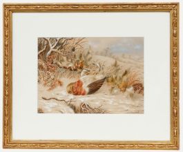 Emma Walter (1833-1893) - Late 19th Century Watercolour, The Dead Robin