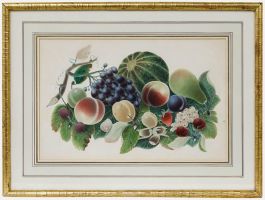 Framed 19th Century Watercolour - Study of Fruit