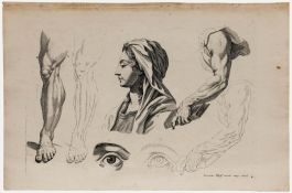 Jeremias Wolff (1667-1724) - 18th Century Engraving, Anatomical Study 4.