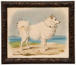 Theodor Franz Zimmermann (1808-1880) - 19th Century Watercolour, Samoyed