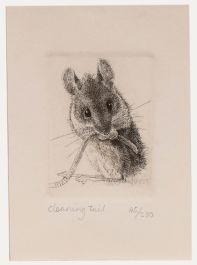Nicholas Verrall - 20th Century Etching, Cleaning Tail