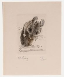 Nicholas Verrall - 20th Century Etching, Washing