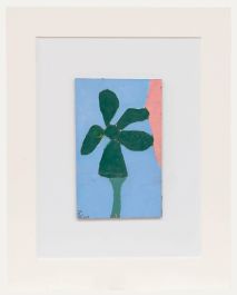 Ben Carrivick - Contemporary Oil, Fresh Daisy