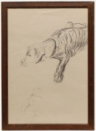 Mid 20th Century Graphite Drawing - Resting Dog