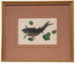 Chinese School 19th Century Watercolour - Grey Carp